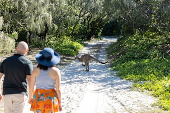 More than a third of the island is classified as national park.