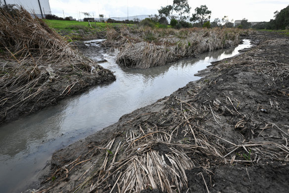 Cherry Creek at Taras Avenue in Altona North on Thursday.