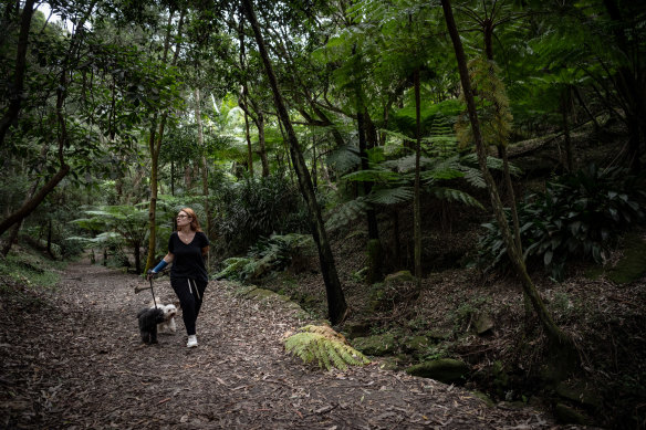Cooper Park is a shady retreat from the hustle and bustle of Sydney’s eastern suburbs.
