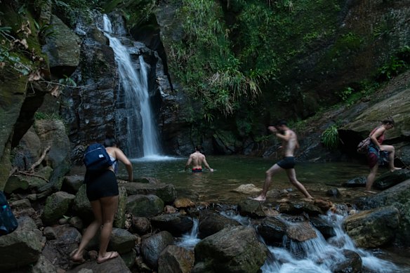 Urban jungle takes on a literal meaning at Rio’s Tijuca National Park.