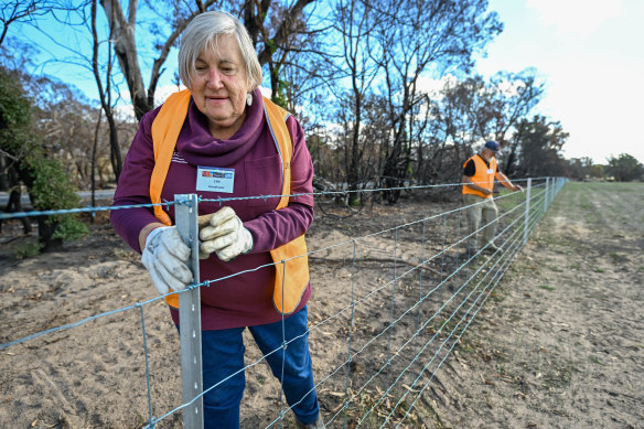 Lyn Rasmussen from BlazeAid, which repairs fencing lost after a disaster.