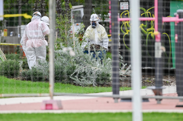 Inspectors rake through and remove asbestos mulch at Donald McLean Reserve in Spotswood on Friday.