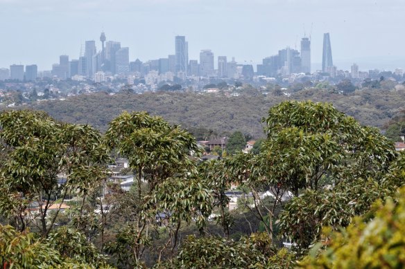 The view of the Sydney skyline from Beacon Hill.