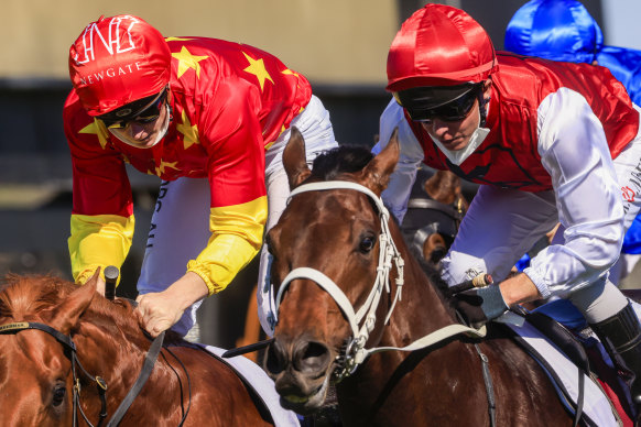 Giannis takes out the Dulcify Stakes at Kembla Grange on Saturday.