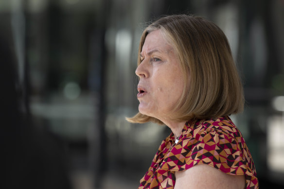 NSW Health Officer Kerry Chant speaks to the media in April about the influenza season in Sydney. 