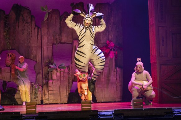 Our front page picture of Joe Kalou as Marty the zebra in Madagascar the Musical.