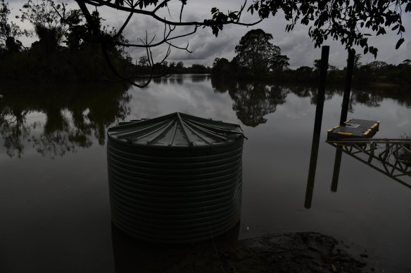 When Lismore experienced its worst flooding event in recorded history, the debris was carried away by floodwaters and filled up the Richmond River’s cane fields. Farmers were unable to harvest cane for several months.