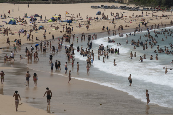 Beachgoers at Sydney's Coogee on January 23 this year,