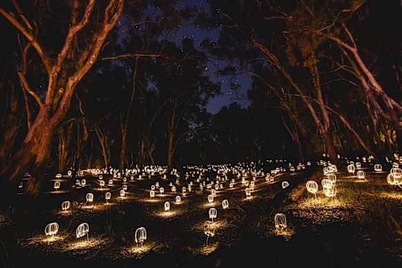 Bruce Munro’s Trail of Light in Mildura.