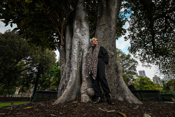 The fig tree in the Carlton Gardens has been an Indigenous meeting place for generations. 