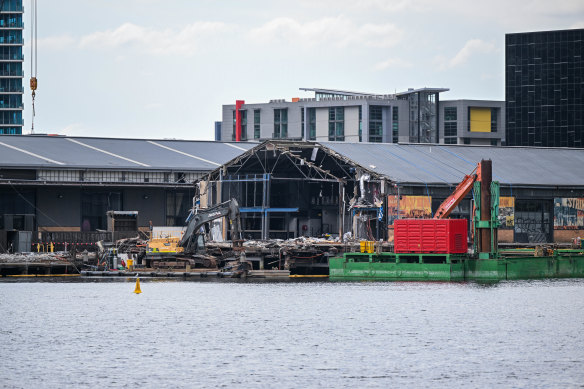 Tim Clinnick says the demolition of Central Pier, and the closure of its surrounding venues, has prompted a surge in rat numbers around Docklands. 