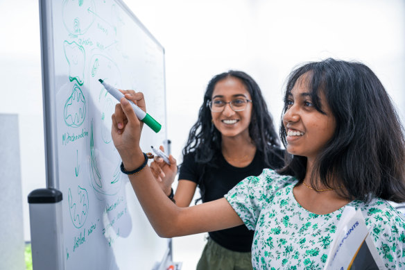 Sisters Amara (front) and Sahana have been taking additional classes for years.