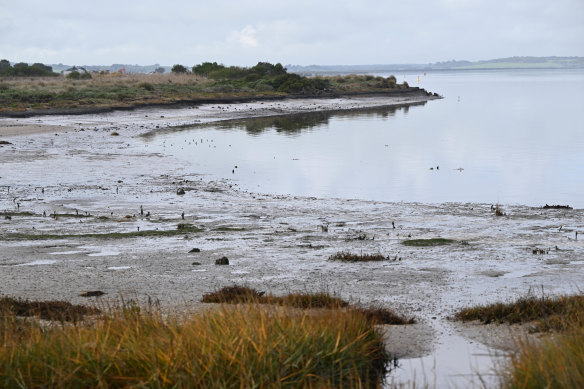 The muddy flats near Mahers Landing. 