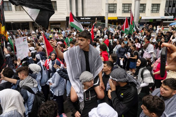 Protesters gather in support of Palestine  near Sydney Town Hall.