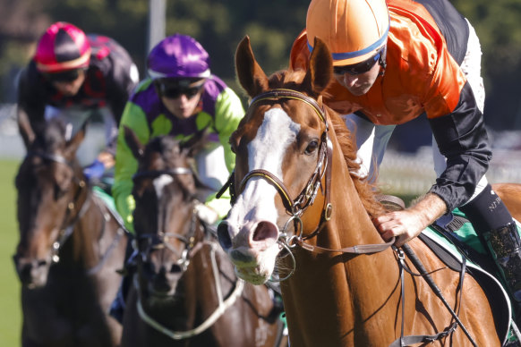 Racing returns to Port Macquarie with an action-packed card.
