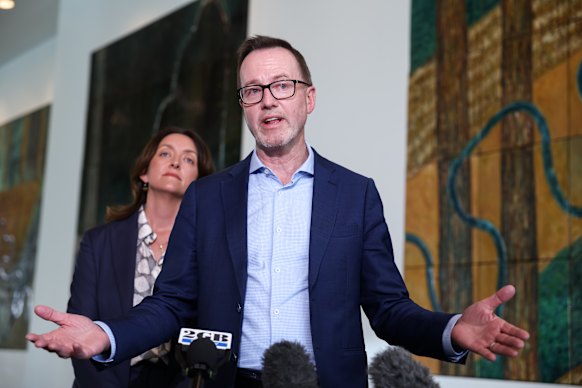 Deputy Greens leader Senator Steph Hodgins-May and Greens leader Senator David Shoebridge, who said it was not up to him to determine if findings of the inquiry would be made public. 
