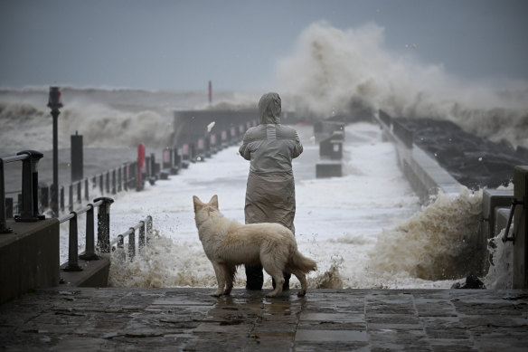 A person and their dog watch the waves in Dorset, England.
