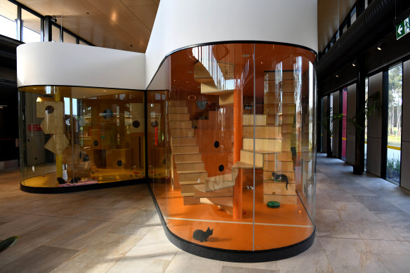 The $36 million Blacktown Animal Rehoming Centre (BARC) features state-of-the-art facilities. 