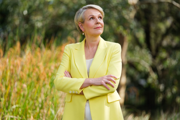 Environment Minister Tanya Plibersek will host the Global Nature Positive Summit from Monday – but is under pressure to deliver environment reforms promised in 2022.