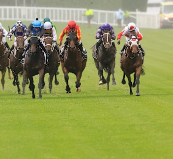Parry Sound (red cap) is favourite for the Lord Mayors Cup.