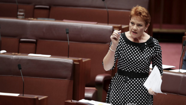Pauline Hanson in the Senate. The political groups that have most successfully navigated these dynamics have been the populist fringe or single-issue parties.