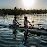 Young rowers on Iron Cove at dawn.