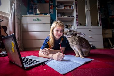 Thousands of high school students shun ‘two years of hell’ in favour of vocational VCE