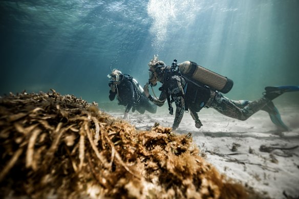 Murdoch University associate professor and seagrass specialist, Mike van Keulen and Paramount Importance founder Kurt Krispyn. 