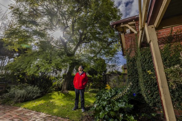 Resident Tamara De Silva backs proposed laws prohibiting residents in the Glen Eira City Council area from cutting down or pruning trees on their property.