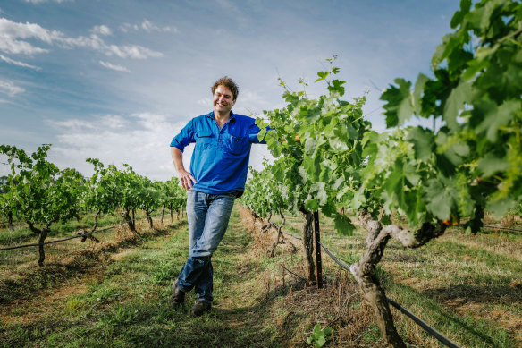 Brokenwood senior winemaker Stuart Hordern among the Hunter Valley vines.