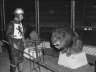 From the Archives, 1958: Lion bites off boy’s arm at circus