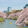 The moat surrounding the parklands of Tokyo’s Imperial Palace is one of most beautiful places for cherry blossoms in spring.