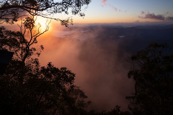 The proposed Great Koala National Park may not get off the ground if a new method of assigning carbon credits is not approved.