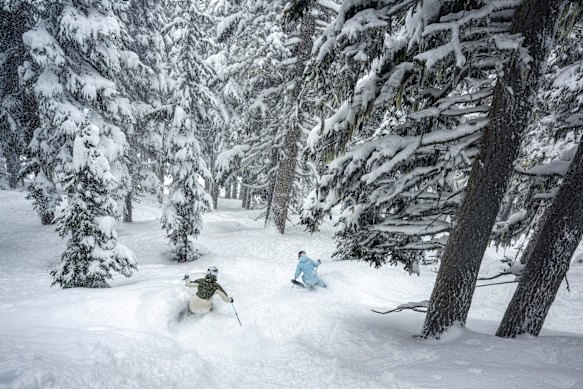 Skiing through the woods in Whistler.