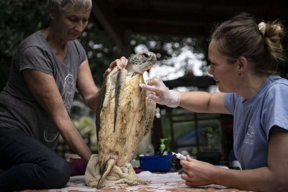 Hannah Taylor and volunteer Dee Duncanson caring for Doris.