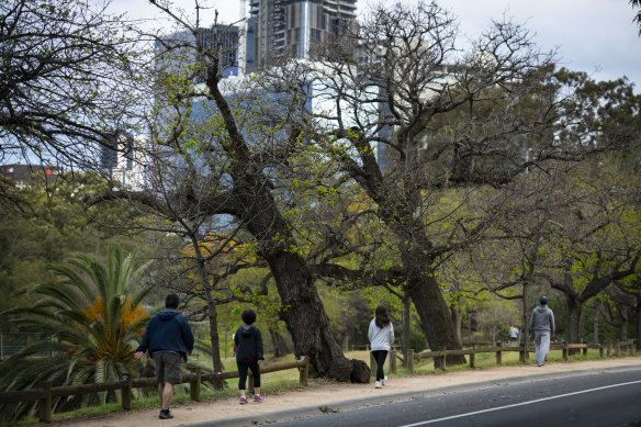 Parramatta Park is one of Sydney’s green spaces that will be managed by the new parklands agency.