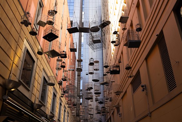 “Forgotten Songs” installation, featuring hundreds of suspended birdcages in the Angel Place laneway.