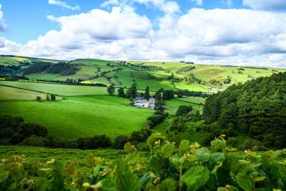 The bucolic countryside.