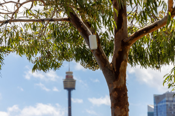200 heat loggers will be installed across the City of Sydney area in a bid to see what areas are the hottest.