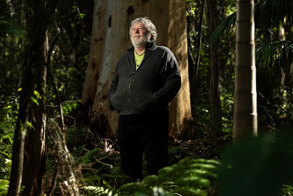 Ashley Love, dubbed the “godfather of the Great Koala National Park”, says the current proposal falls short.
