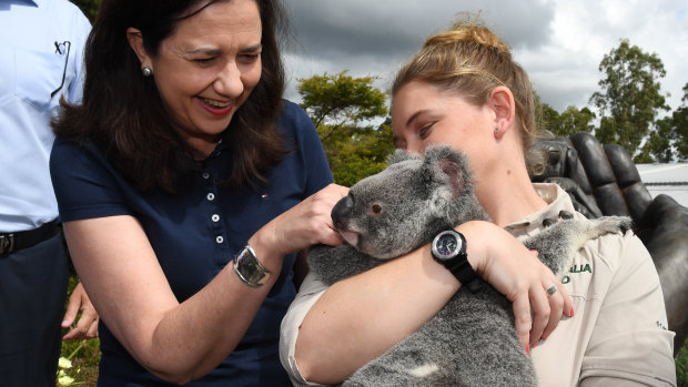 Queensland Premier Annastacia Palaszczuk meets Ruby the koala during a visit to Australia Zoo in Beerwah, on the Sunshine Coast.