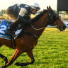 Who are the Cup favourites? The three-minute guide for punters