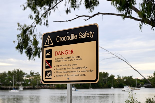 A crocodile warning sign on the banks of the Fitzroy River in Rockhampton.