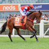 Austrac has commenced civil proceedings against Neds owner, Entain.  