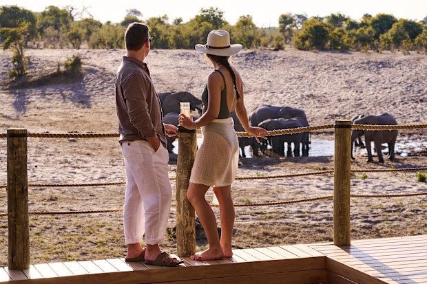 Savute, Desert + Delta Safaris