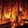World of photos, August 9, 2024