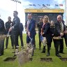 WACA pool could cost only half of the $151 million claimed by Perth council