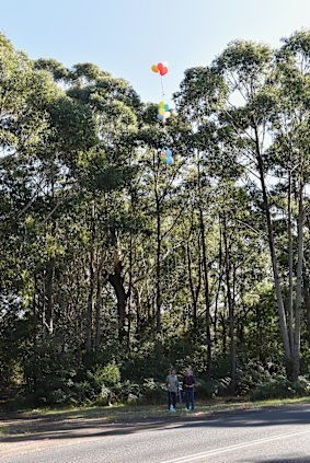 The group raised balloons into the air to show the proposed height of the complex. 