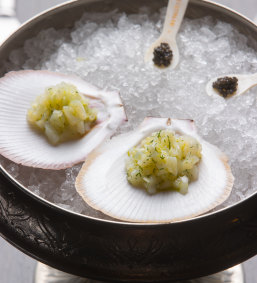 Hervey Bay scallops with fennel and finger lime. 