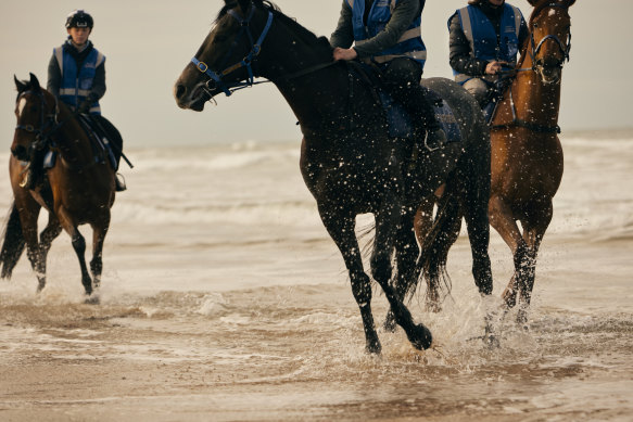 Horses, including 2019 Melbourne Cup winner Vow and Declare (at right), training at the beach near Danny O’Brien’s property outside Barwon Heads, near Geelong.